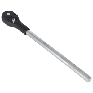 Grzechotka prosta