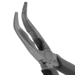 240620266a3bdc41326de.png