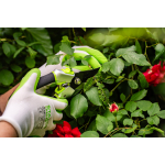 Rękawice poliestrowe LATEX FOAM G 8” STALCO GARDEN S-80703