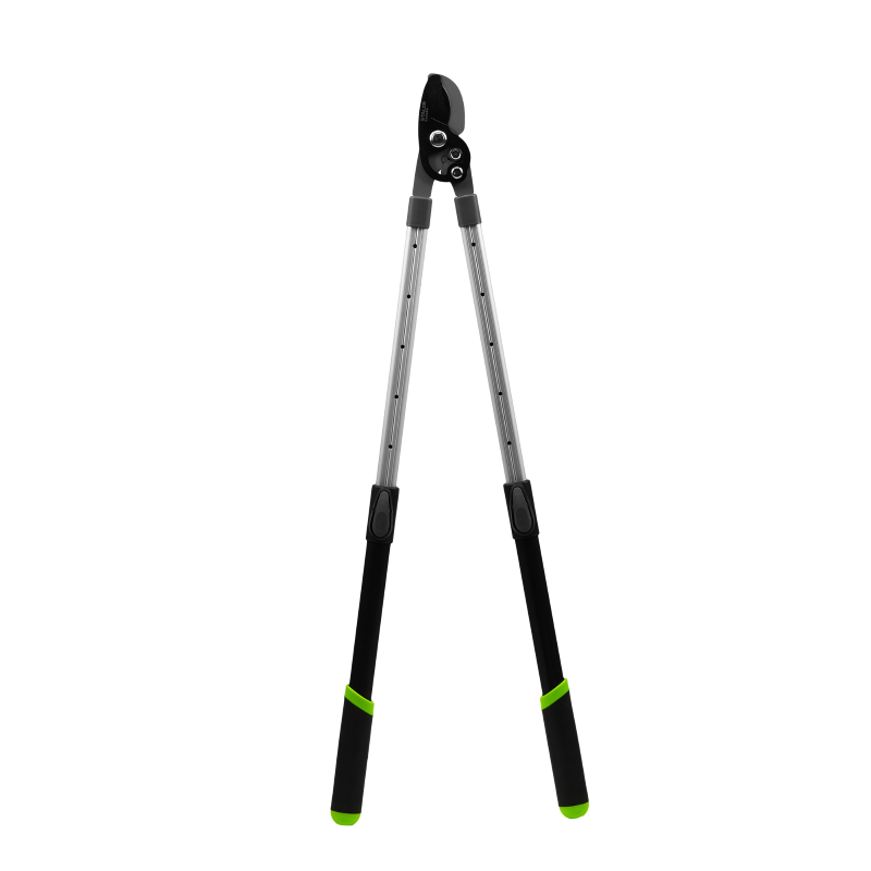 270620266a3fd00f860ea.png