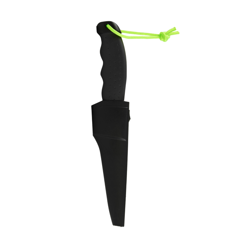 270620266a4054d554fbf.png